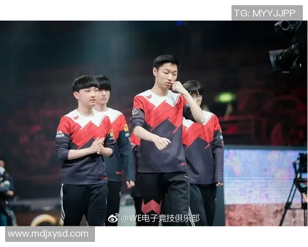 esports数据WE在Major赛中的团队配合表现分析与点评
